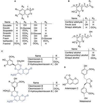 Accumulation and Secretion of Coumarinolignans and other Coumarins in Arabidopsis thaliana Roots in Response to Iron Deficiency at High pH